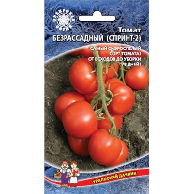 Томат Безрассадный (УД) 20шт Симбиоз