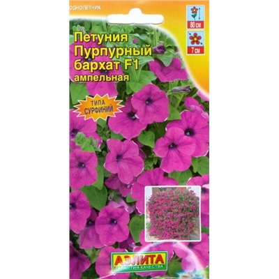 Петуния Пурпурный бархат F1 (Код: 70922)