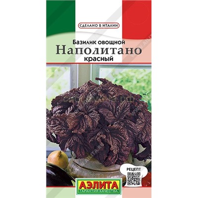 Базилик Наполитано красный (Аэлита)