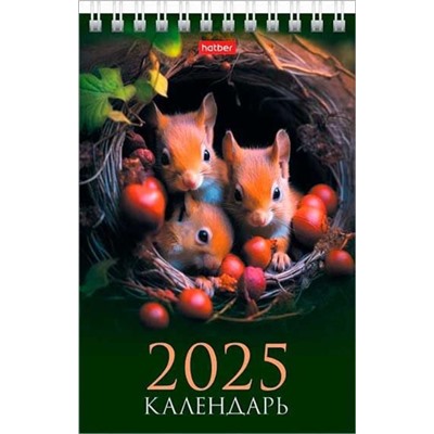 2025 Календарь-домик настольный спираль Хат Стандарт "Лесные малыши" 16*10,5см 31251
