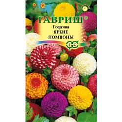 Цв.Георгина Яркие помпоны (Гавриш) 0,2г