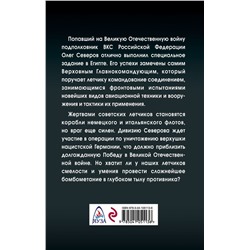 Уценка. Михаил Нестеров: Сталинский сокол. Комдив