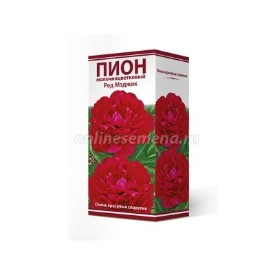Пион Ред Мэджик трав.1шт (Поиск)