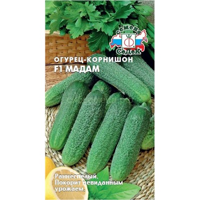 Огурец Мадам F1 (Седек)