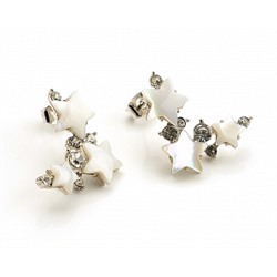 Серьги PR2693