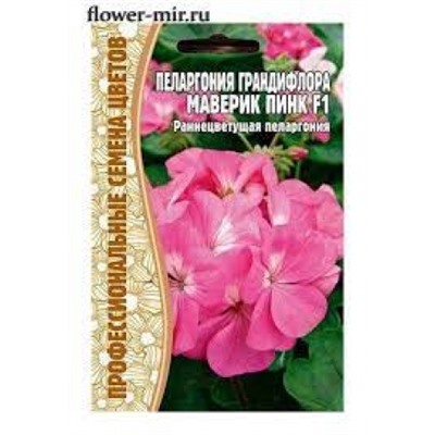 Цв.Пеларгония Маверик пинк F1 (Григорьев) 3шт