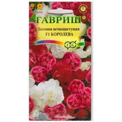 Бегония Королева махр  смесьF1 (Код: 72061)
