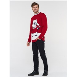 Джемпер мужской 202-12236