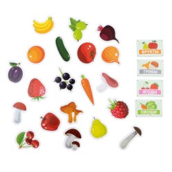 Пластик на липучках «Фрукты, овощи, ягоды, грибы» (в конверте A4)