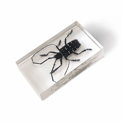 Журнал №04 "Настоящие насекомые" С ВЛОЖЕНИЯМИ! Азиатский усач + стикеры с названиями