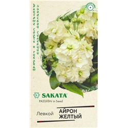 Левкой Айрон желтый махровый (Гавр)