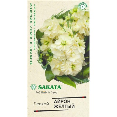 Левкой Айрон желтый махровый (Гавр)
