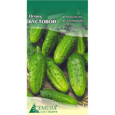 Огурец Кустовой, 0,3г (цв.)