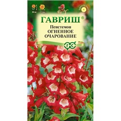 Пенстемон Огненное очарование гибридный (Гавр)