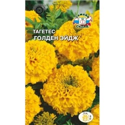 Цв.Барх.Голден эйдж прямос. низк. (Седек) 0,25г