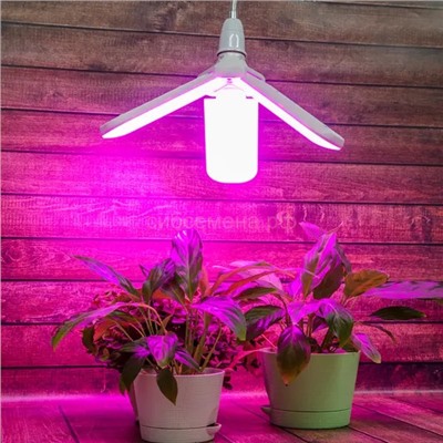 Фитолампа Uniel LED-P65-24W/SPSB/E27/FR/P3 Р фиол