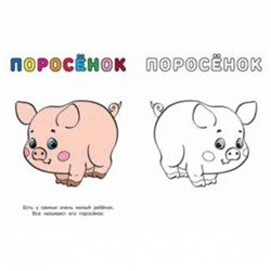 Раскраска  А5 Раскрась и Узнай Бычок 16стр. 21*15см  26271