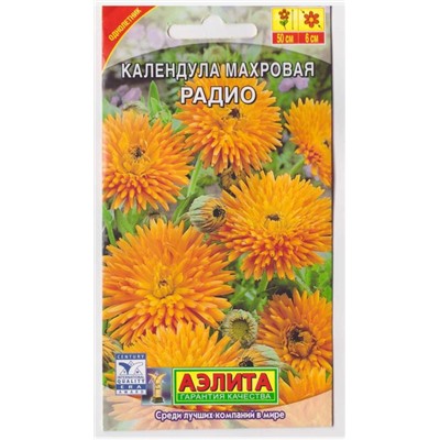 Календула Радио махровая (Код: 4569)