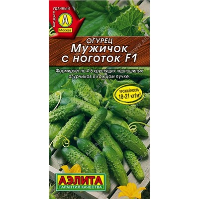 Огурец Мужичок с ноготок F1 (Аэлита)