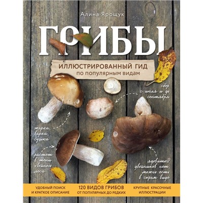 Грибы. Иллюстрированный гид по популярным видам