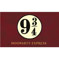 Кардхолдер. Платформа 9 и 3/4 (в форме книжки, 215х65 мм)