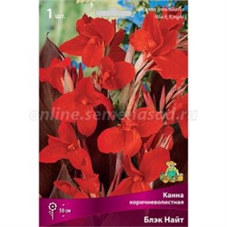 Канна Блэк Найт 1шт (Поиск)
