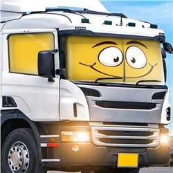 Автошторы Смайл 6
