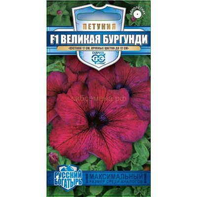 Петуния Великая бургунди F1, крупноцв, низкорослая. (Гавр)