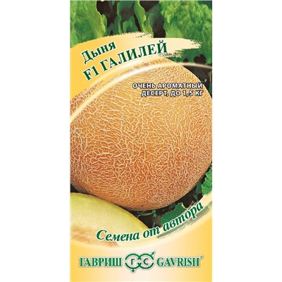 Дыня Галилей (Гавр)