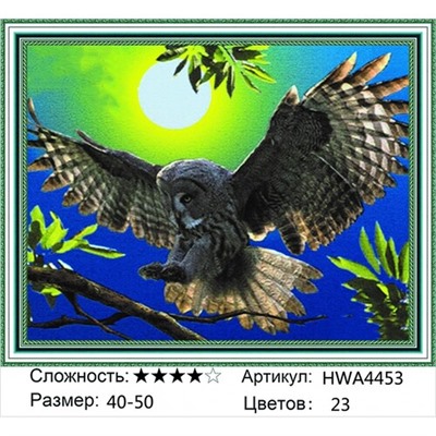AM45 HWA4453, 40х50 см