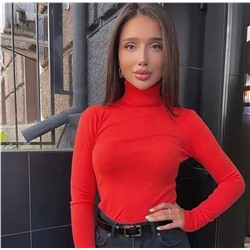 Водолазка 899709