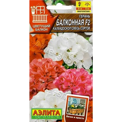 Герань Балконная калейдоскоп (Код: 93147)