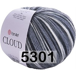 Пряжа YarnArt Cloud