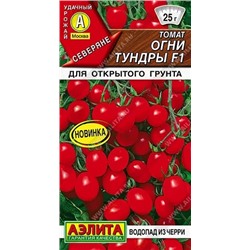 Томат Огни Тундры F1 (Код: 93074)