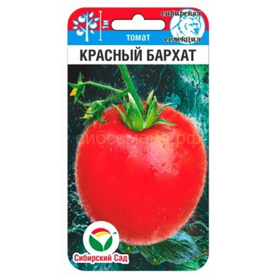 Томат Красный бархат (Сиб сад)