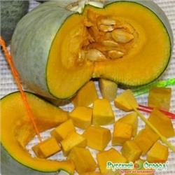 Тыква Конфетка F1 (НК) 4шт  Вкуснятина