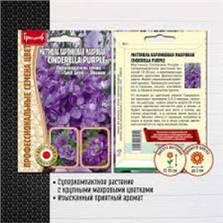 Цв.Маттиола Синдерелла Блу (Cinderella blue) (Григорьев) 5шт