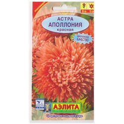 Астра Аполлония Красная (Код: 10112)