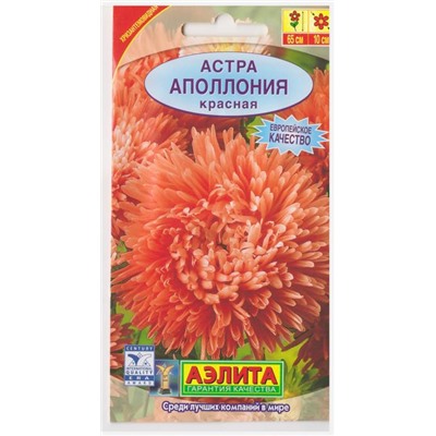 Астра Аполлония Красная (Код: 10112)