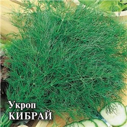 Укроп Кибрай (25г) (Код: 93392)