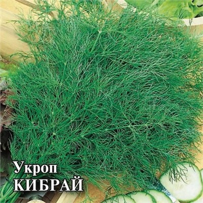 Укроп Кибрай (25г) (Код: 93392)