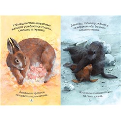 Мамы и малыши. Умные книжки