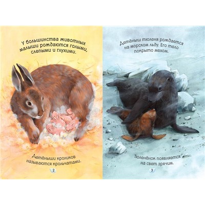 Мамы и малыши. Умные книжки