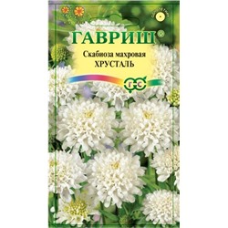 Скабиоза Хрусталь (Гавр)