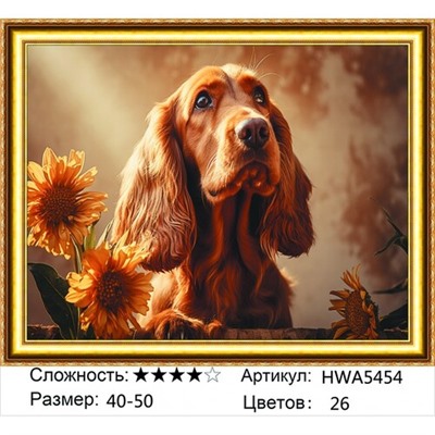 AM45 HWA5454, 40х50 см