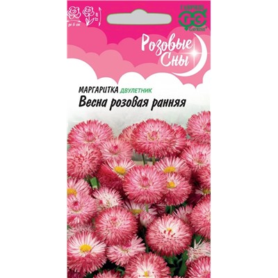 Маргаритка Весна розовая ранняя (Гавр)