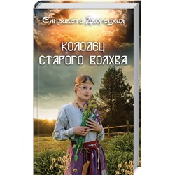 Елизавета Дворецкая: Колодец старого волхва