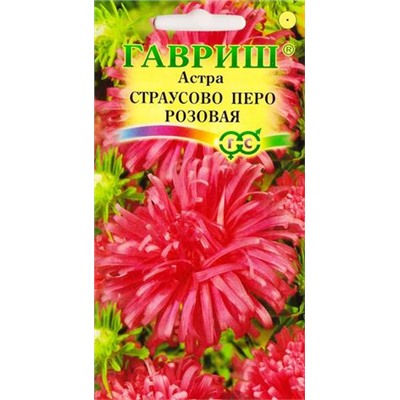 Астра Страусово перо Розовая (Код: 10481)