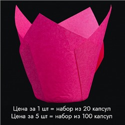 Капсула - тюльпан для выпечки Фуксия 80*50, 20 шт