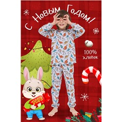 Пижама с начесом Суперзавры детская (Серый)